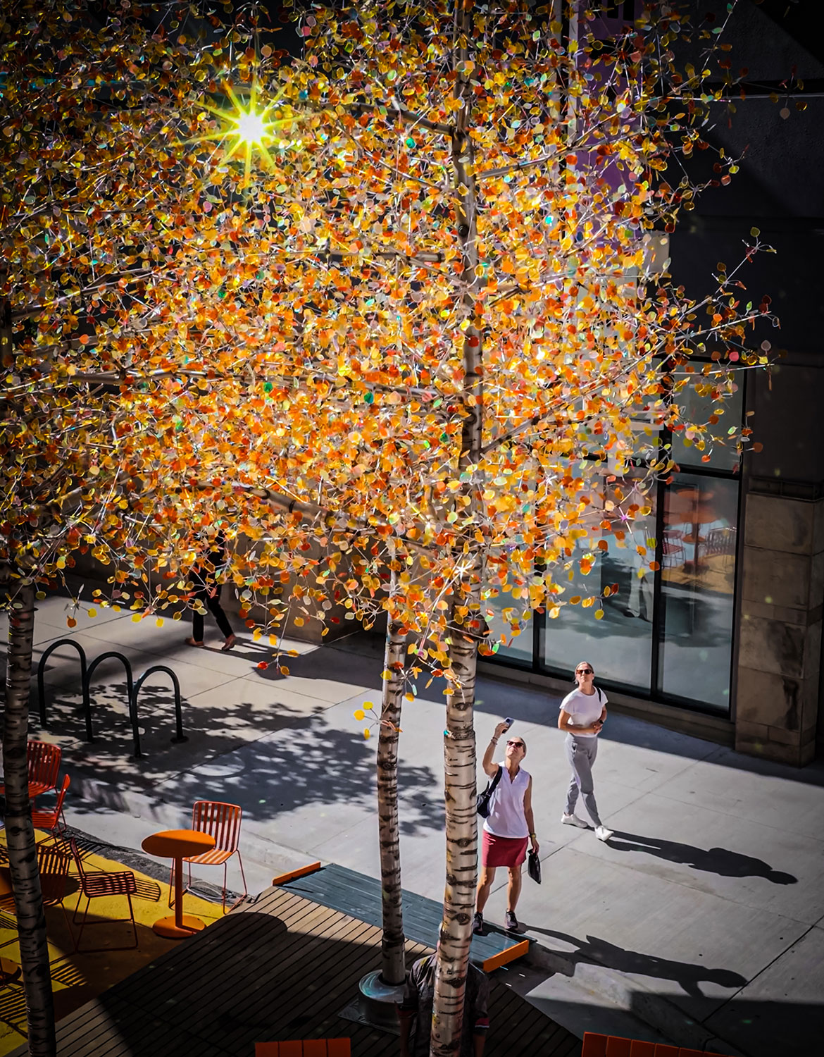 Aspen Light — detail 2 — Poetic Kinetics