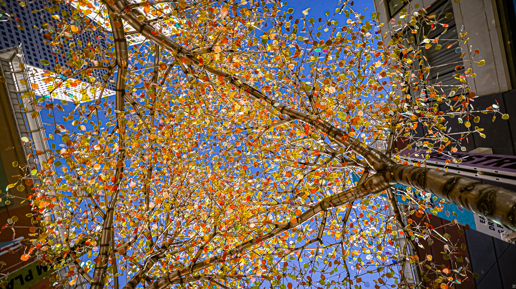 Aspen Light — detail 3 — Poetic Kinetics