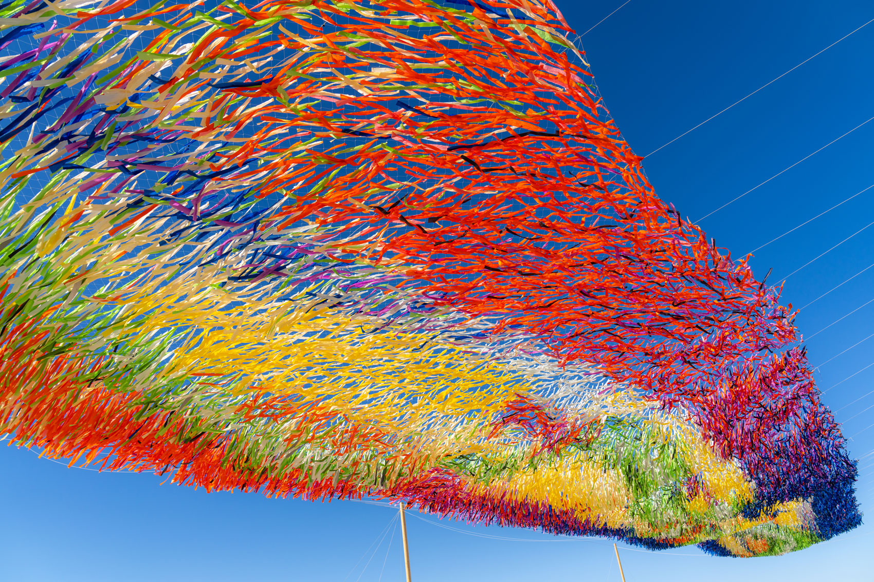 Poetic Kinetics — WDRB News Article
