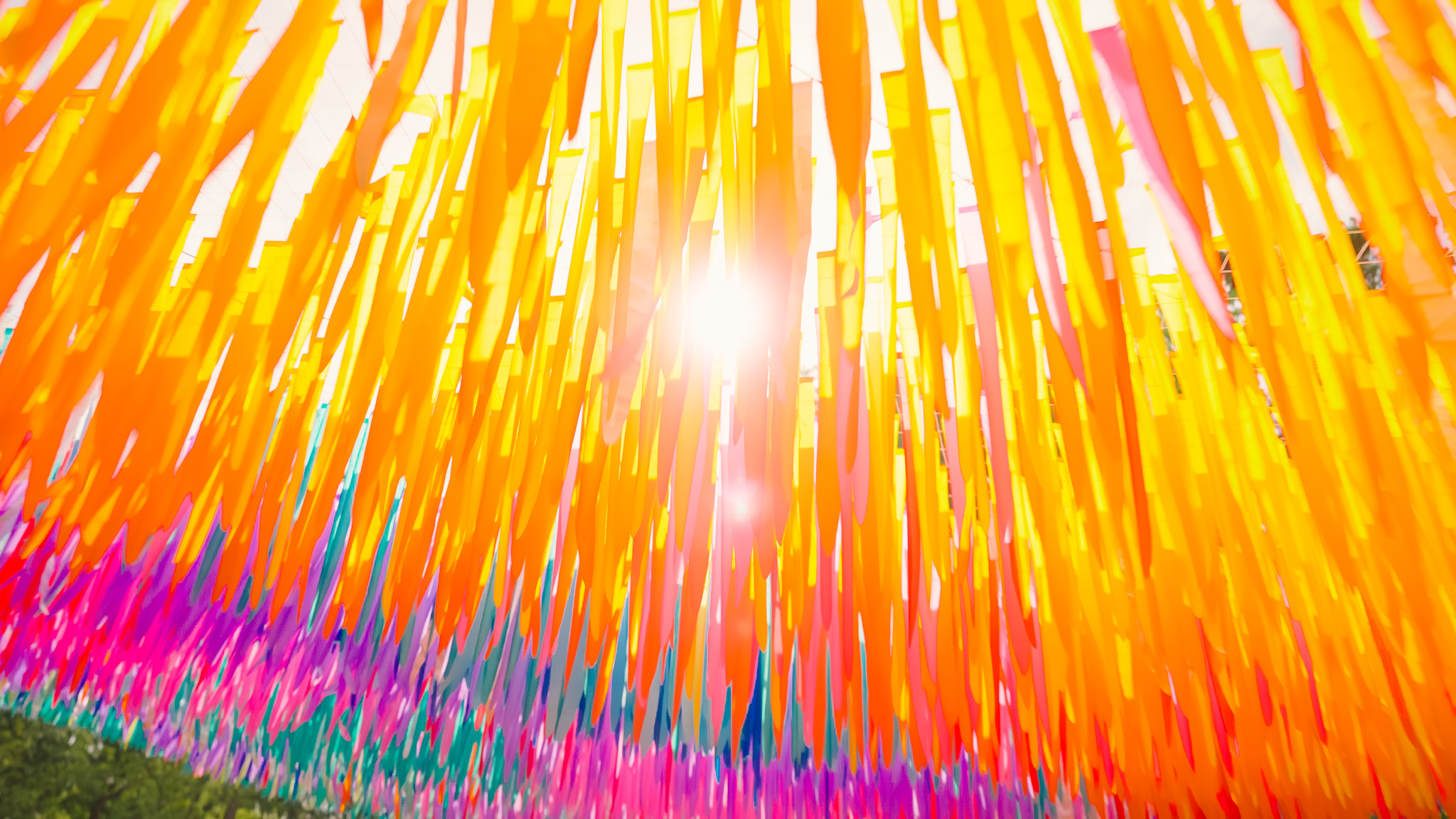 Avian Rainbow — detail 8 — Poetic Kinetics