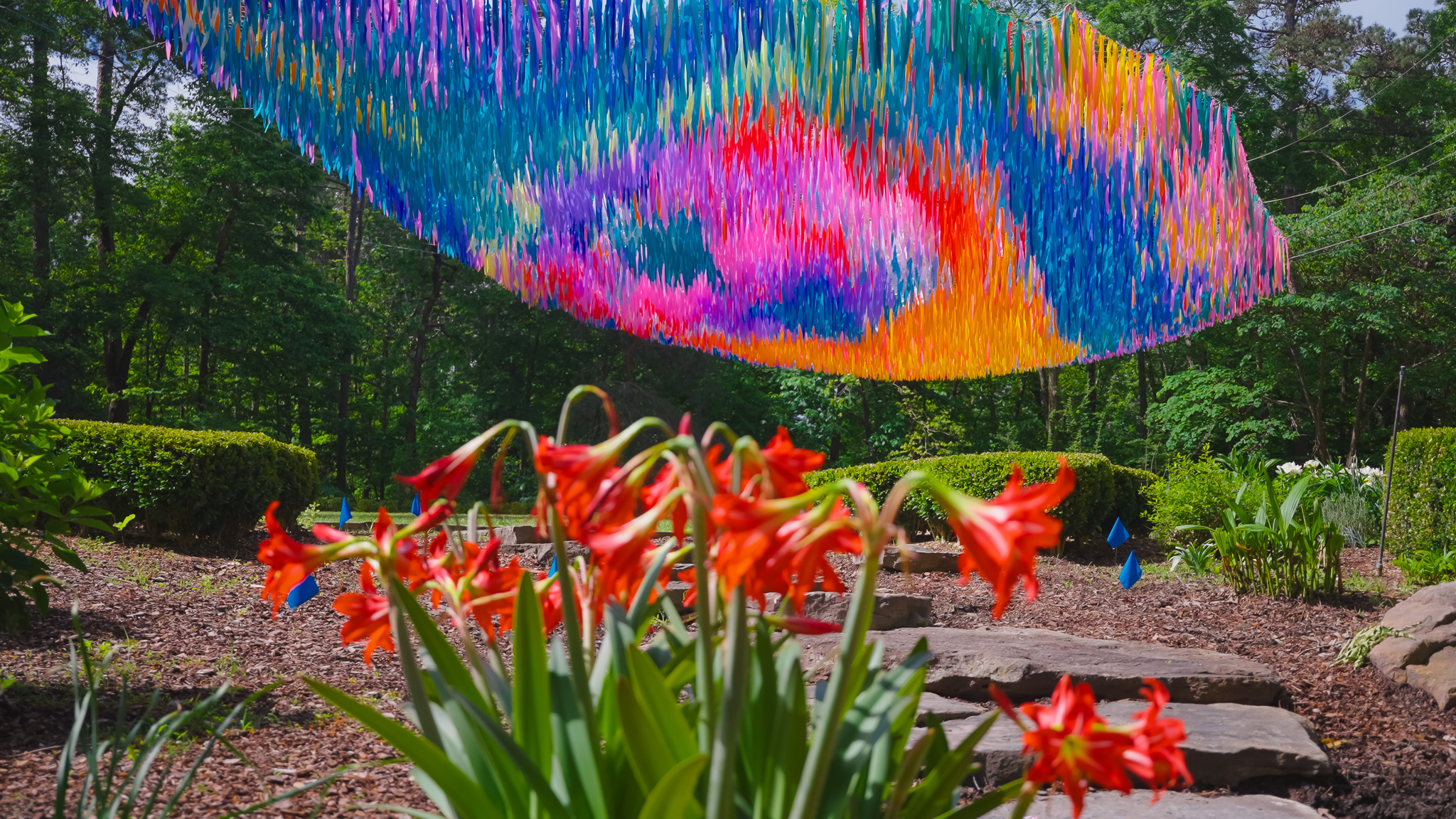 Avian Rainbow — detail 10 — Poetic Kinetics