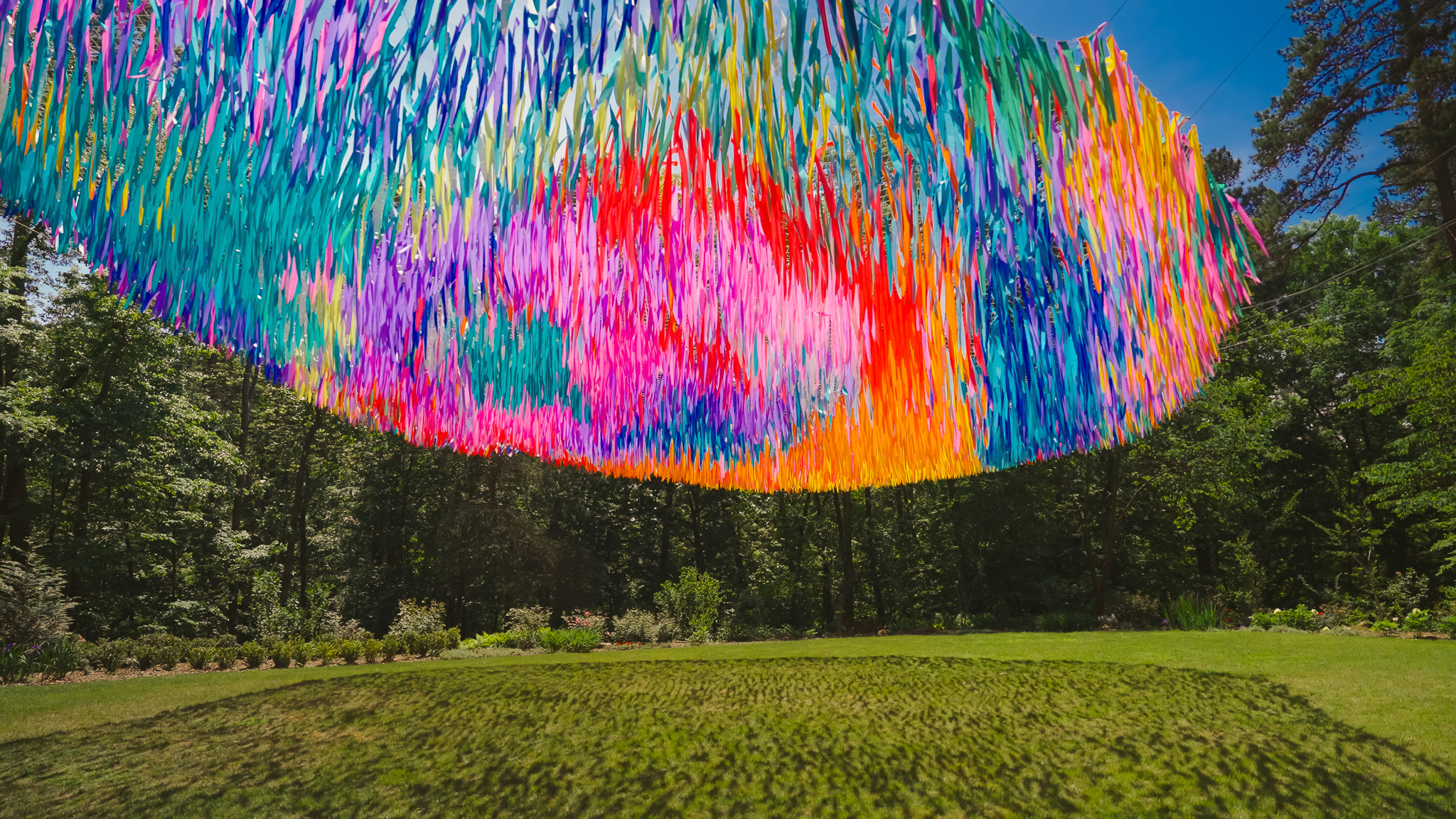 Avian Rainbow — detail 12 — Poetic Kinetics