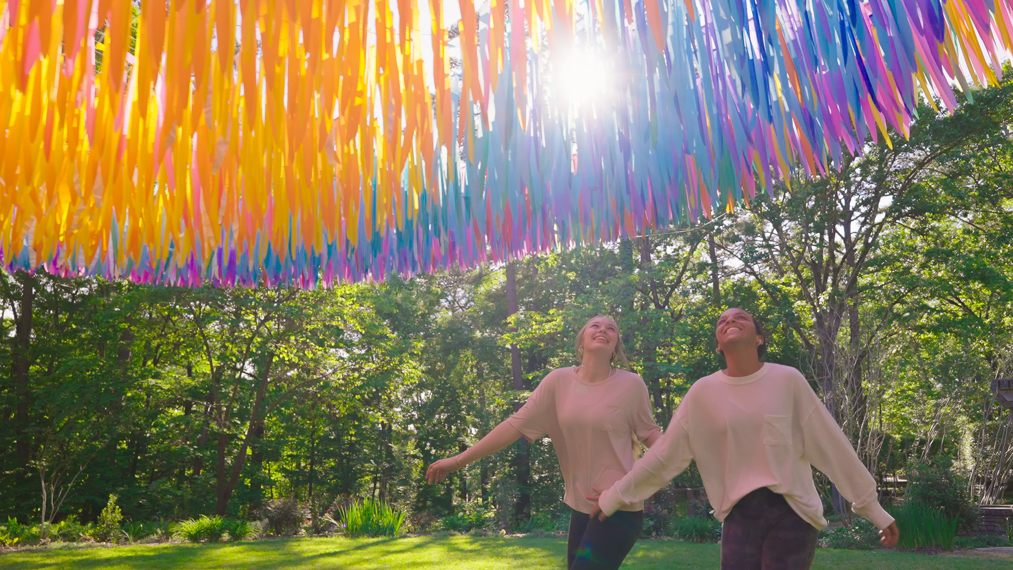 Avian Rainbow — detail 17 — Poetic Kinetics