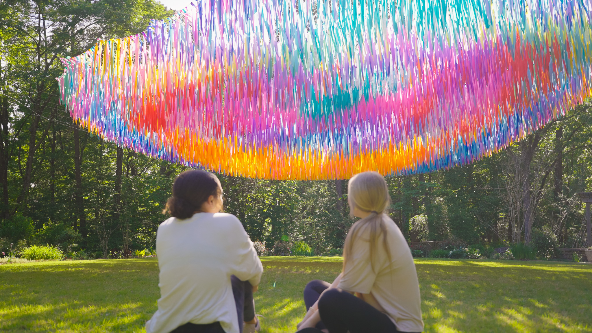 Avian Rainbow — detail 19 — Poetic Kinetics