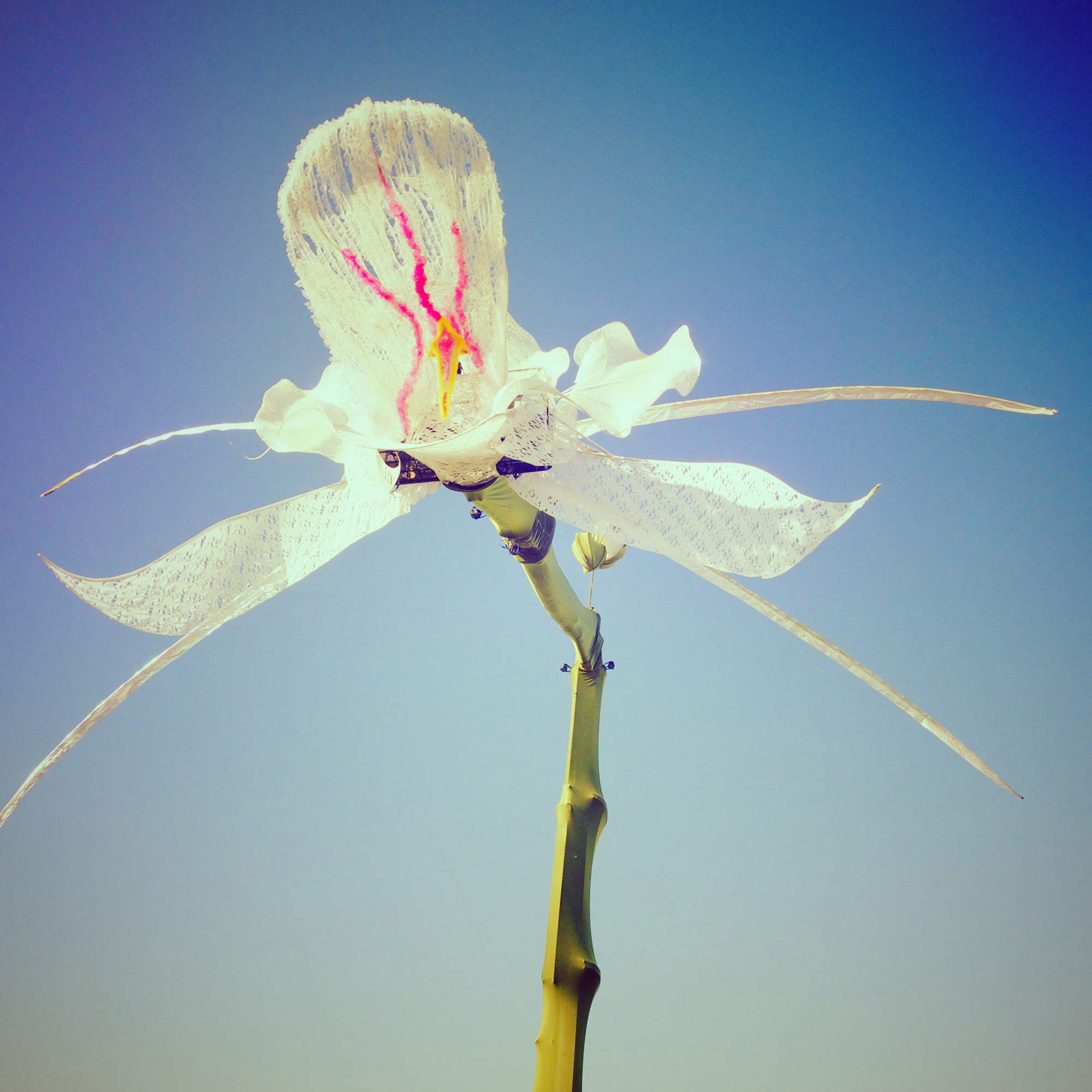 Poetic Kinetics — LA Weekly