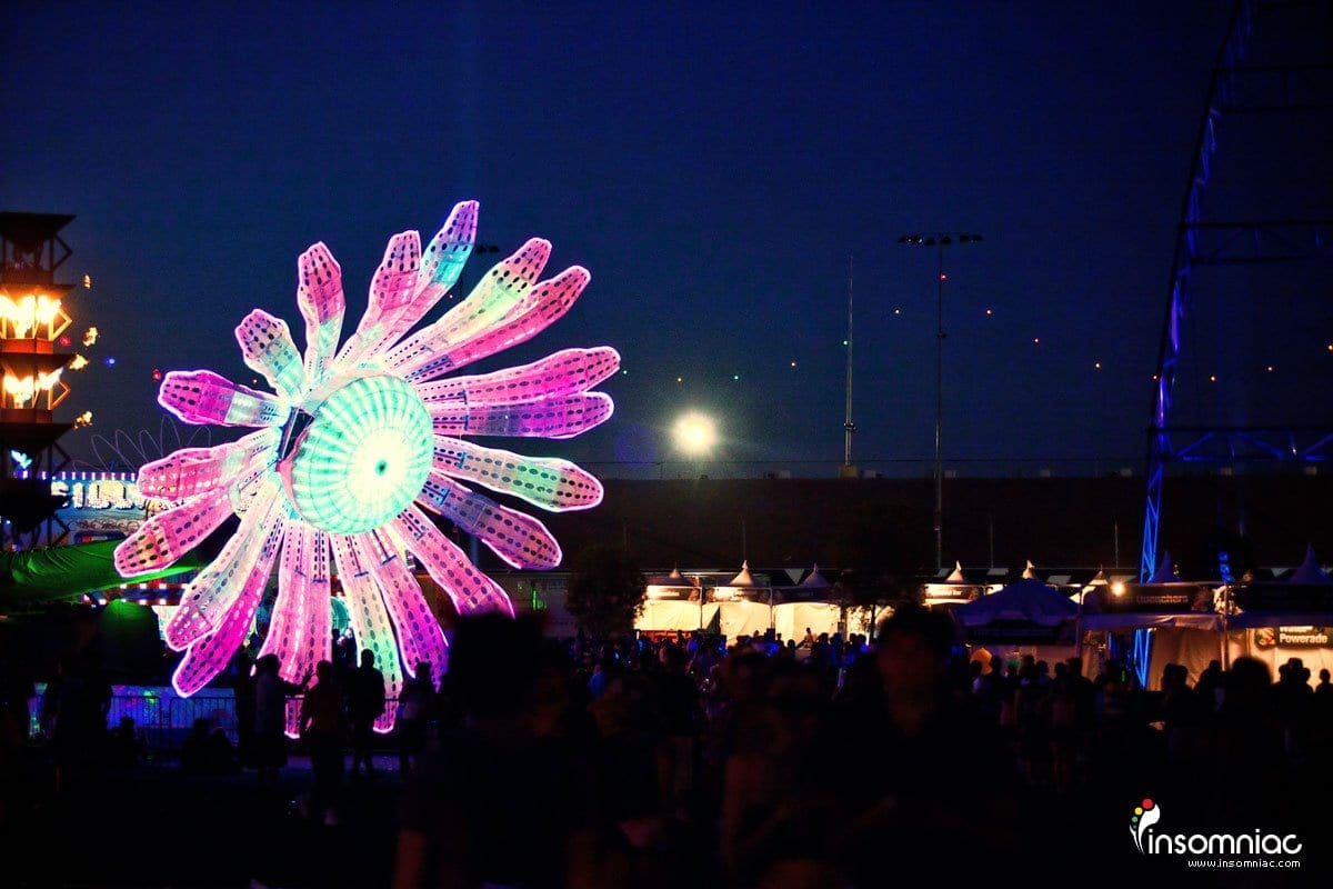 Electric Daisy — detail 3 — Poetic Kinetics