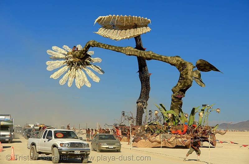 Hope Flower & Venus Flytrap kinetic installation by Poetic Kinetics