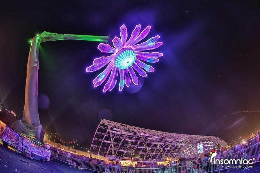 Electric Daisy — detail 4 — Poetic Kinetics