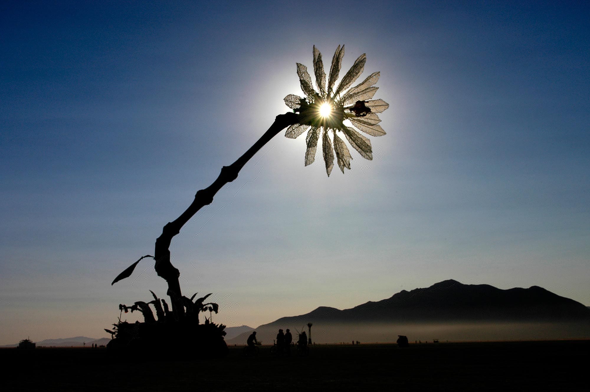 Hope Flower — detail 2 — Poetic Kinetics