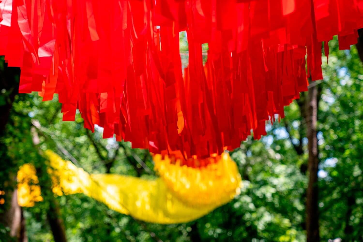 Dream Flora — detail 3 — Poetic Kinetics
