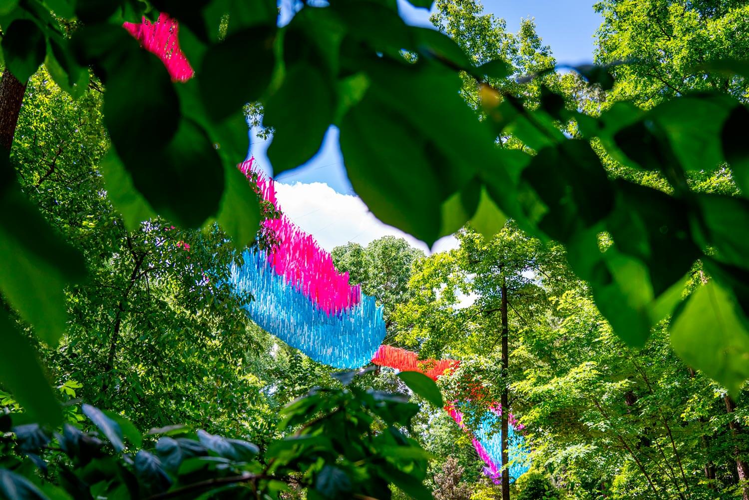 Dream Flora — detail 6 — Poetic Kinetics