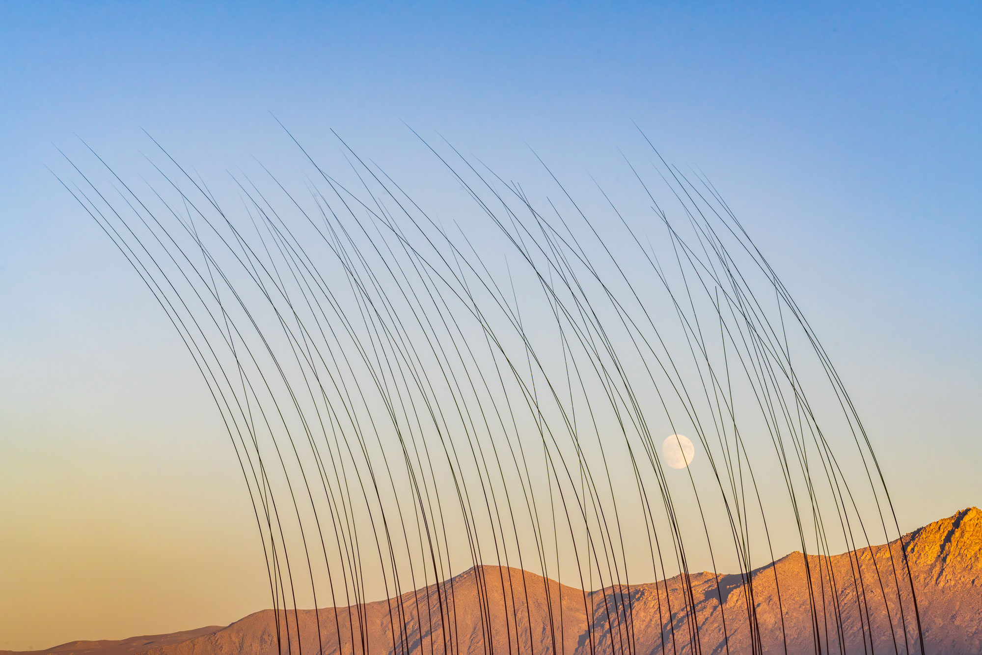 Vanishing Points kinetic installation by Poetic Kinetics in Black Rock City