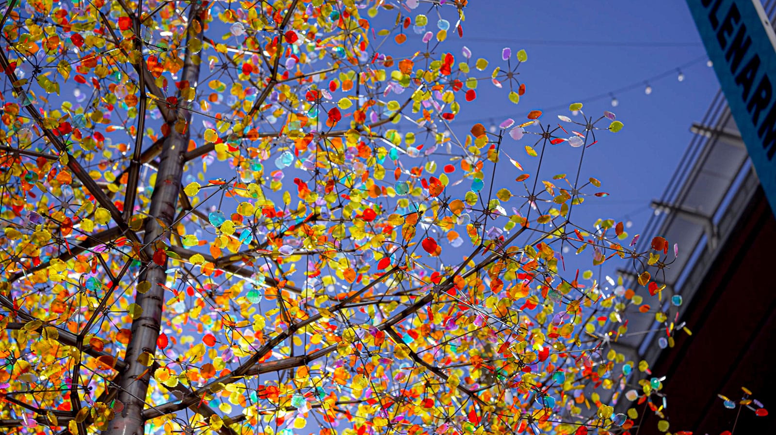 Aspen Light — detail 7 — Poetic Kinetics