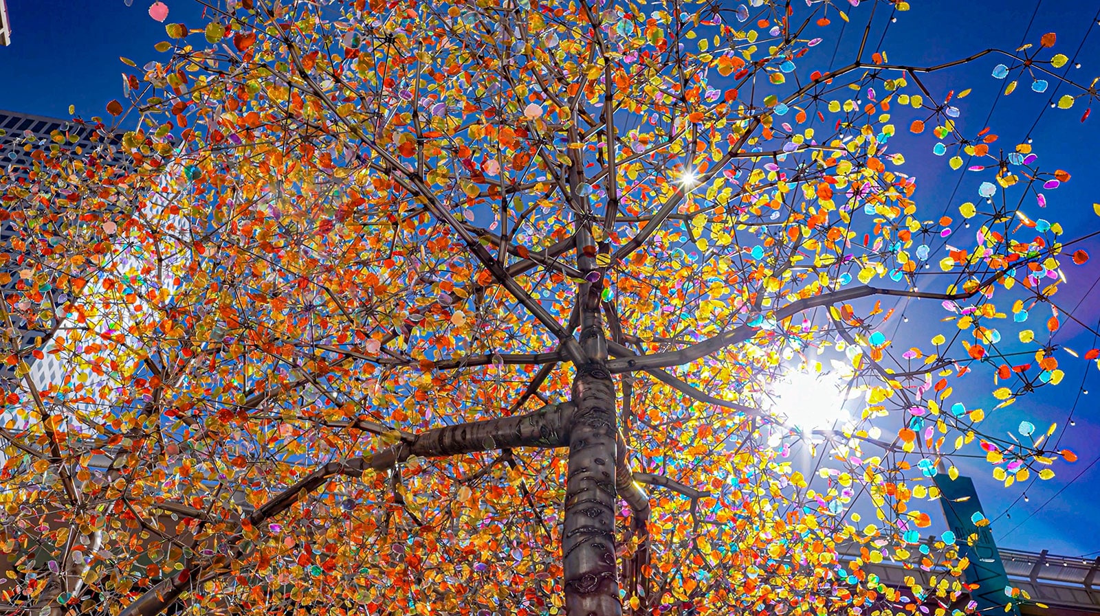 Upward view of Aspen Light’s multicolored kinetic leaf canopy against a bright blue Denver sky